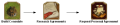 build embassy QUESTTREETEXT en.png