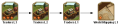 shared traders 3 TECHTREETEXT en.png